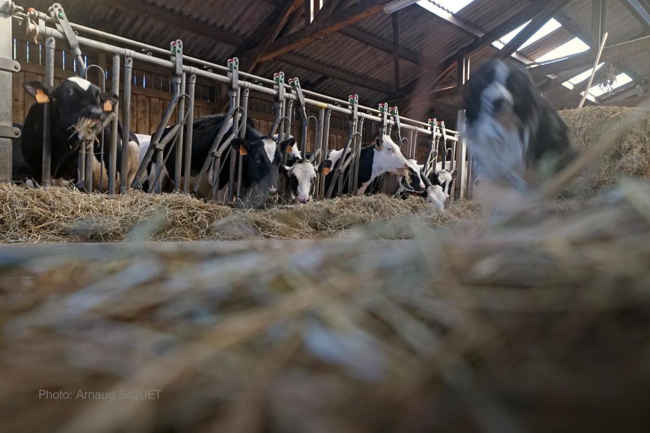 Ferme St Martin Acomodação com café da manhã Manhay Exterior foto
